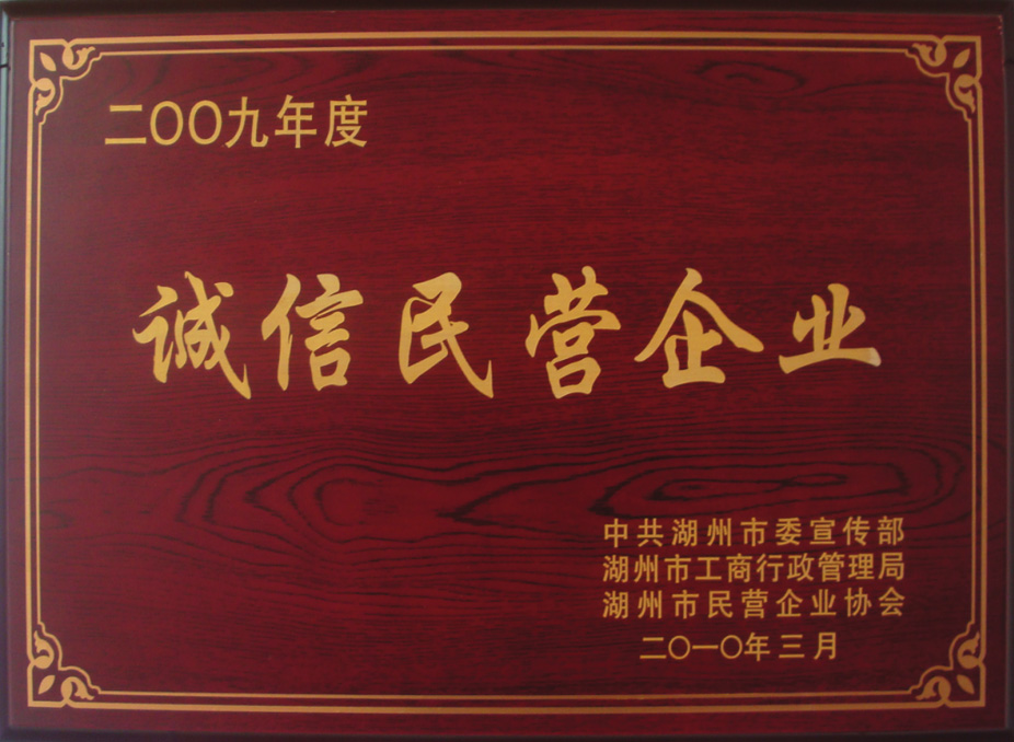 2009年誠信民營企業